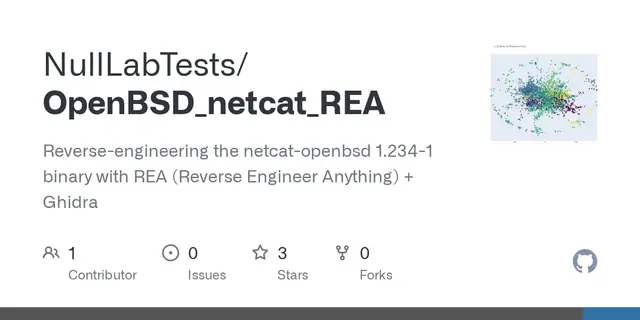 OpenBSD netcat, analysed with REA and Ghidra preview